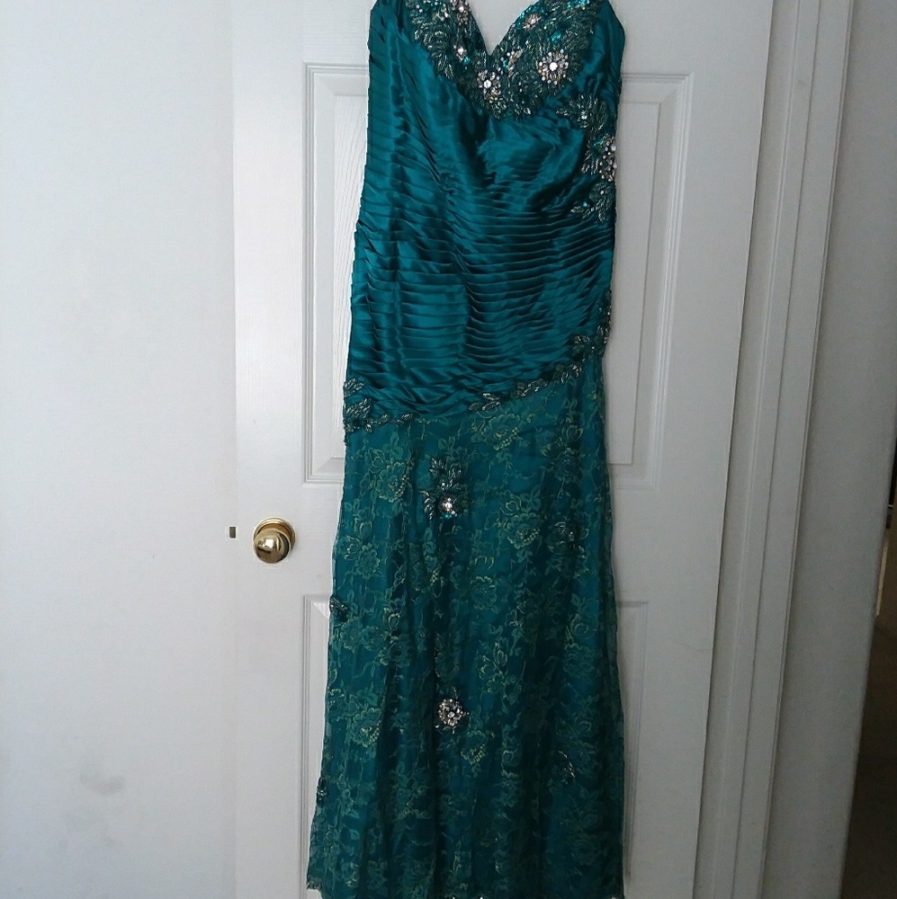 Terani coture dress
